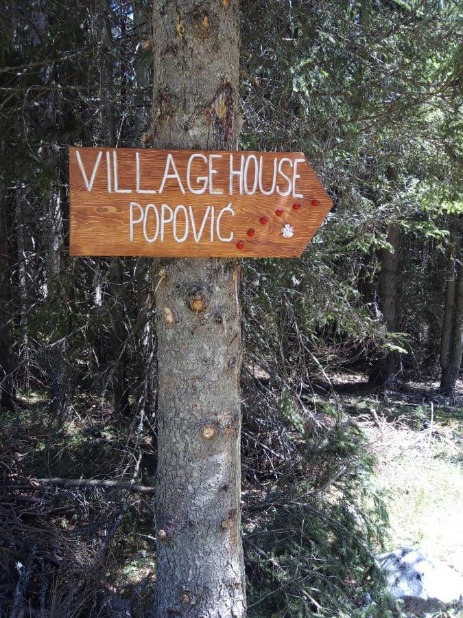 Village House Popovic Žabljak Kültér fotó