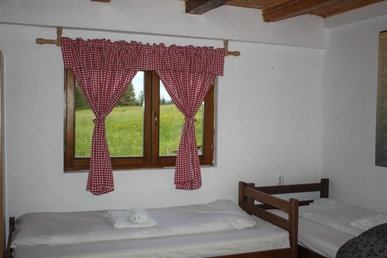 Village House Popovic Žabljak Kültér fotó