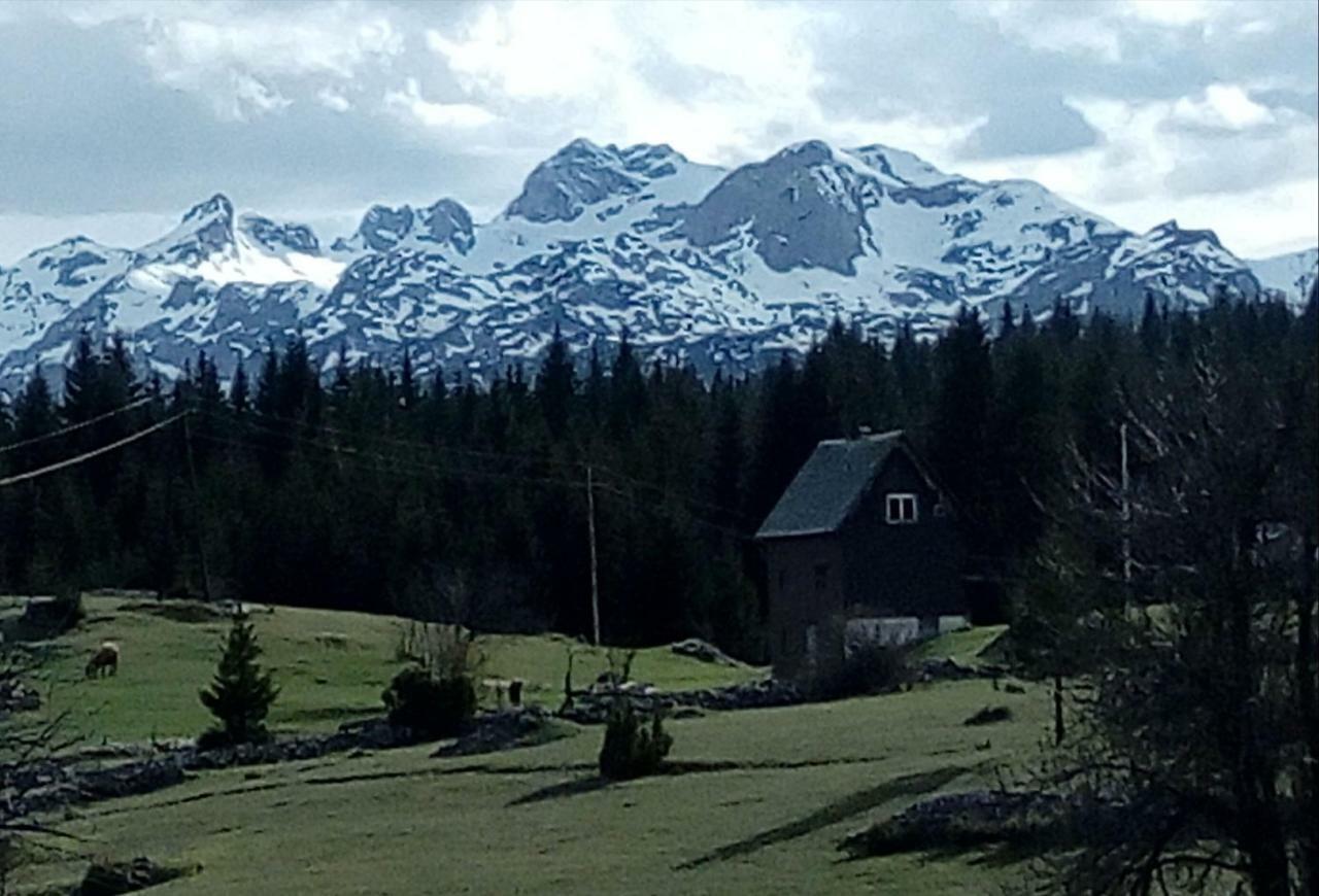 Village House Popovic Žabljak Kültér fotó